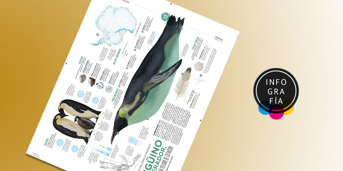 Pingüino Emperador, por primera vez en peligro de extinción