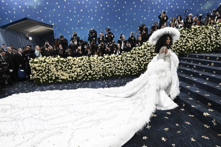 Diana Ross volvió tras más de 20 años con un diseño propio.