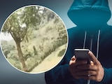 Estas son las penas por grabar video del niño 'Chiapas Sabanilla' y por almacenarlo y/o difundirlo.