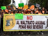 Manifestación contra el maltrato animal, ayer.