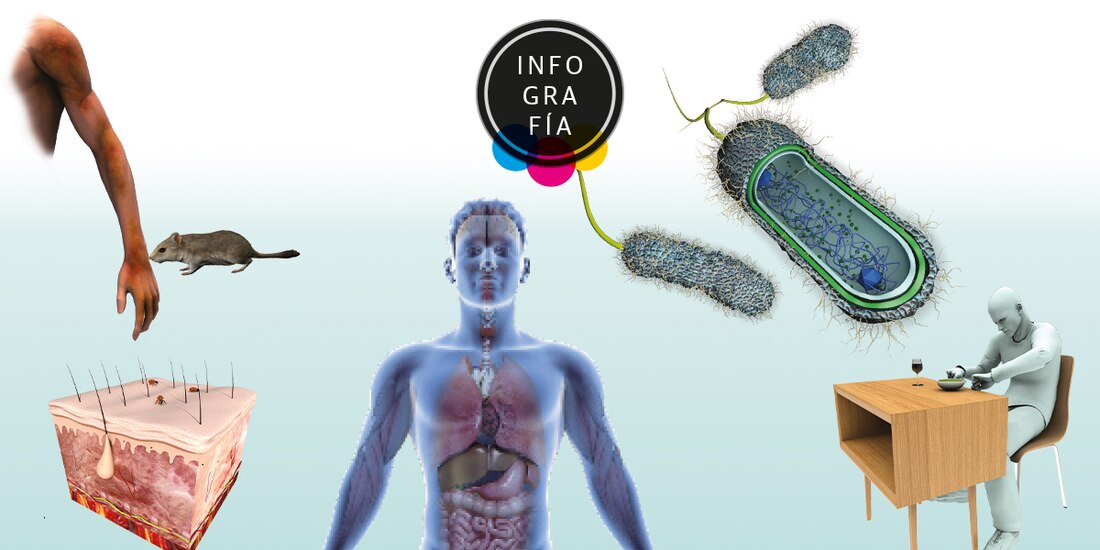 Análisis de dientes revela dónde se originó la peste negra, la más mortífera de la historia