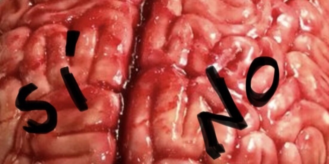 Te quiero pero no te quiero