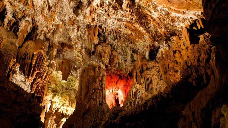 Vive momentos llenos de adrenalina en Querétaro.