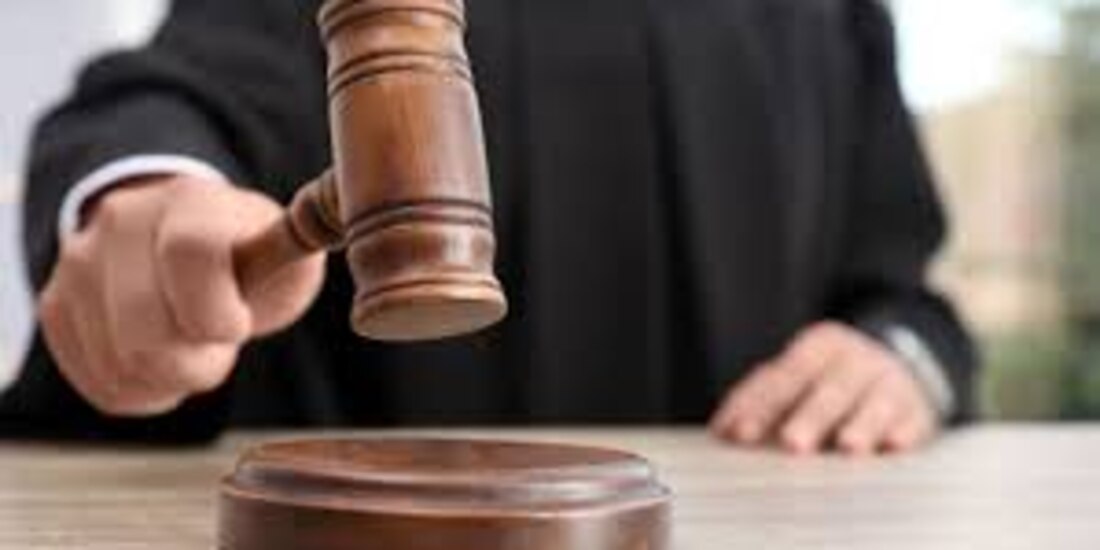 Proceso de selección.