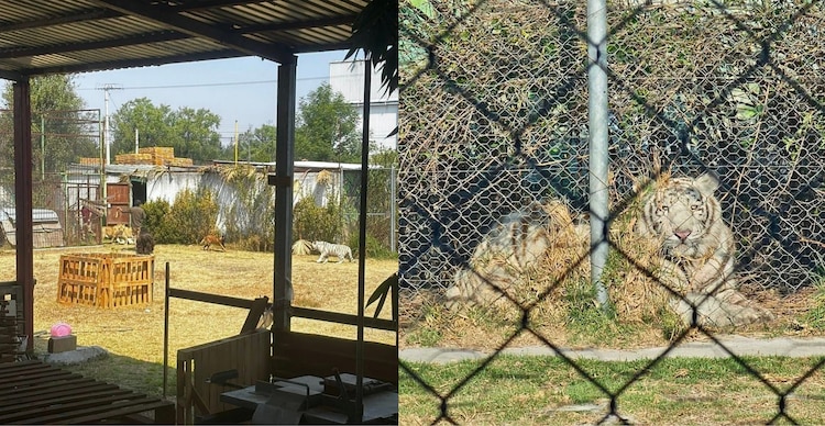 Fotos de la Reserva Los Pinos