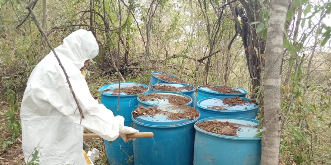 Los golpes económicos más fuertes se registraron en Sinaloa y Sonora.