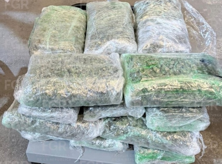 Aseguramiento de marihuana en Saltillo, Coahuila.