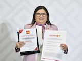 Imelda Castro Castro fue elegida para la Coordinación Estatal en Defensa de la Transformación y Soberanía Nacional para Sinaloa.