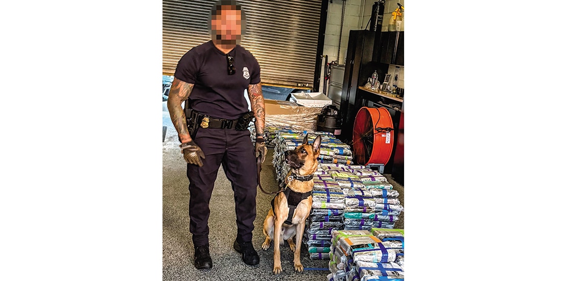 Un binomio canino del CBP decomisó 1,600 kilos de cocaína el 8 de diciembre, en Miami Beach, Florida.