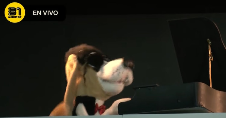 Perritos de Mario Hugo cantan "Doggy style" aal estilo blues