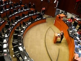 El Pleno del Senado de la República, en una fotografía ilustrativa.