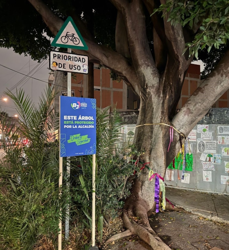 La alcaldía Benito Juárez colocó un anunció a un lado de “Laureano”, ayer, para afirmar que está protegido.