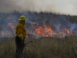 Expertos alertan
por aumento en
incendios; prevén
un año adverso