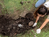 Colima, cementerio criminal, crece más de 20 veces hallazgo de fosas