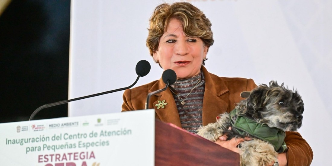 Edomex implementa Estrategia CERA para eliminar maltrato y abandono animal.