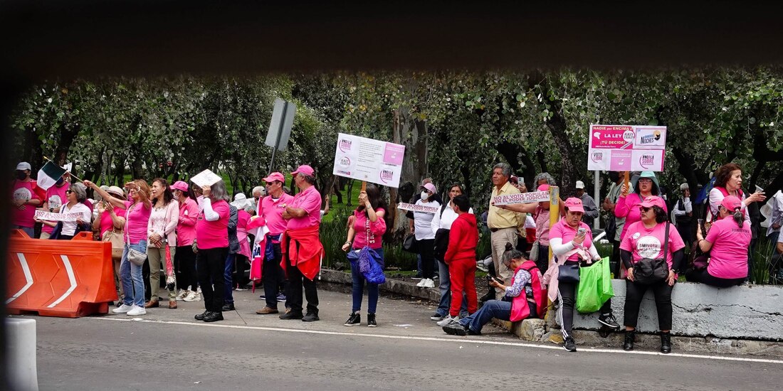 Frente Cívico Nacional y la Marea Rosa buscan conformar un partido político.