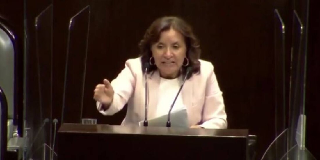 La bancada del PT en la Cámara de Diputados explicó que la diputada cuestionó la violencia que ejercían los policías con el argumento de revisar documentos vehiculares a otros ciudadanos.