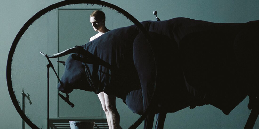 Un toro y el agua son las figuras centrales.