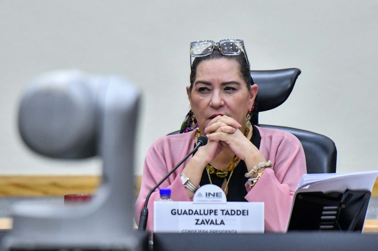 Guadalupe Taddei Zavala, consejera presidenta del Instituto Nacional Electoral