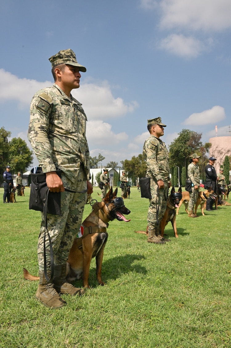 En el Día Mundial del Perro, la Semar destacó el papel de sus binomios caninos, considerados un elemento clave en operaciones de rescate y apoyo a la seguridad nacional.
