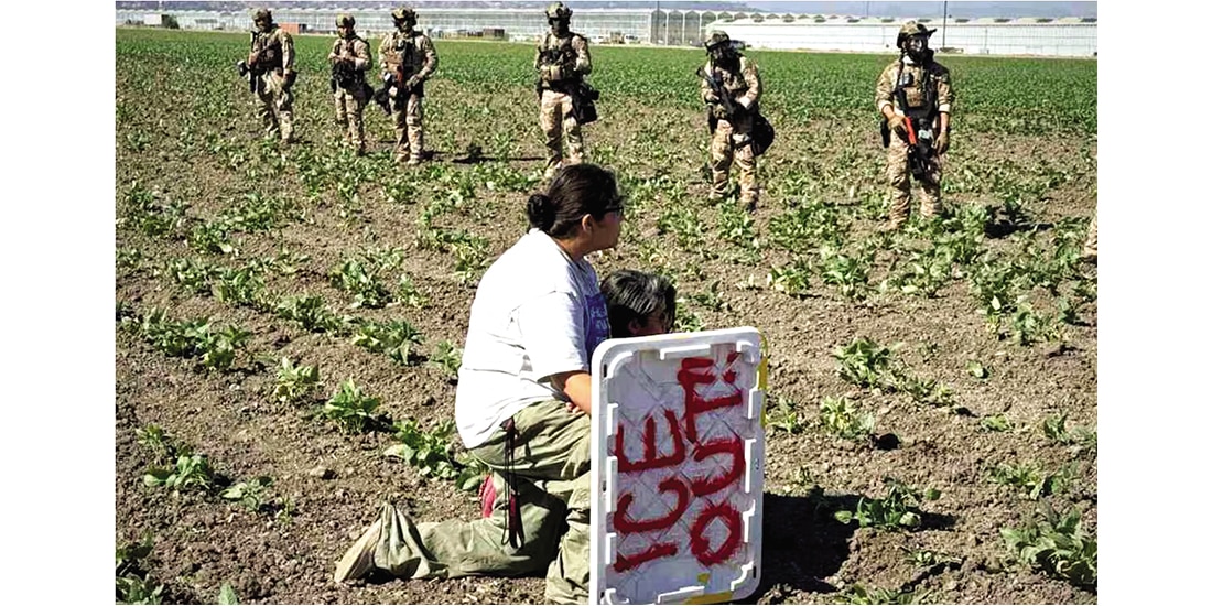 Una mujer protege a su hijo durante una redada de ICE en campos agrícolas de California, en julio de 2025.