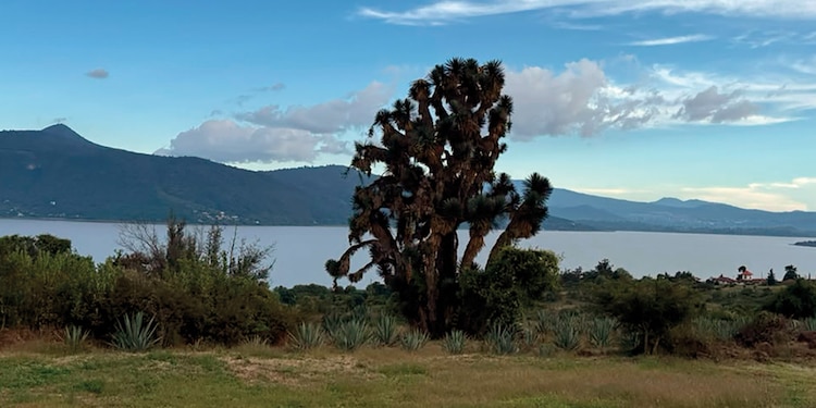 LOS HErMOSOS paisajes de
Michoacán.