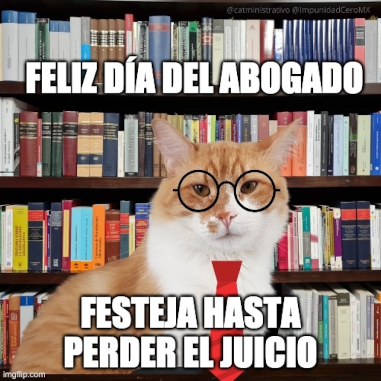 Los mejores memes por el Día del Abogado en La Razón.