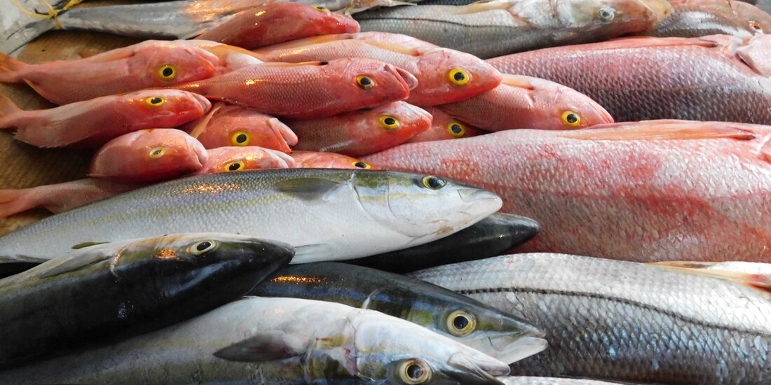 Garantizan abasto de productos del mar
