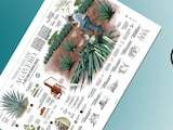 Paisaje Agavero, 20 años como patrimonio mundial