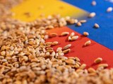 Granos de cereales sobre una ilustración de las banderas de Ucrania y Rusia