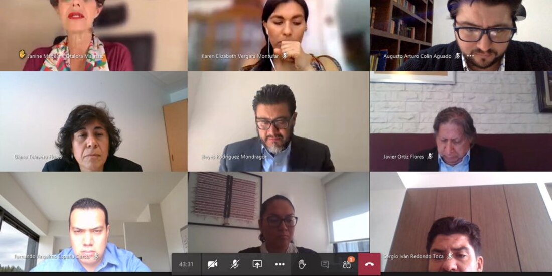 Audiencia virtual de alegatos.