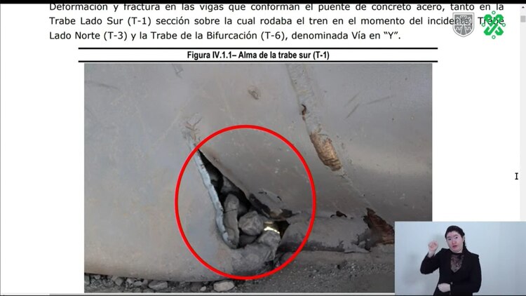 Imágenes del dictamen.