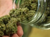 Luz verde al uso de marihuana con fines terapéutico en Reino Unido