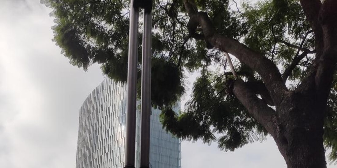 Simpatizantes de Xóchitl Gálvez en el Ángel de la Independencia.