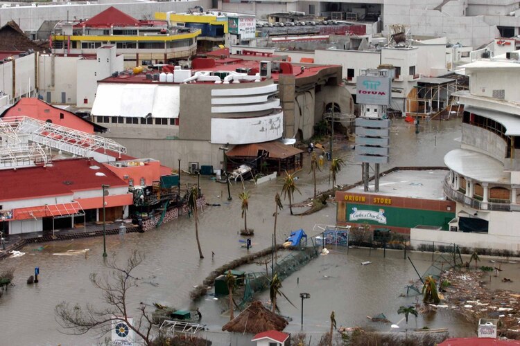 CANCUN, QUINTANA ROO 23 OCTUBRE 2005.-La zona hotelera quedo paralizada por las inundaciones y palmeras derribadas después del paso de Wilma.