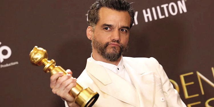 LA PELÍCULA ha ganado más de una decena de premios a nivel internacional y ha obtenido cerca de 30 nominaciones en la actual temporada de premios.