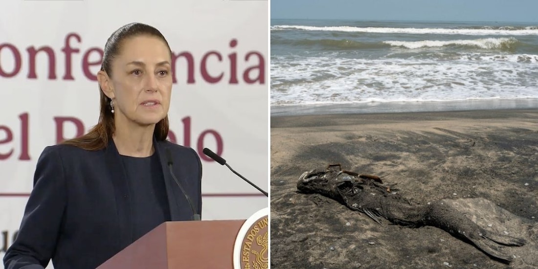 "Es muy importante que se dé toda la información" sobre derrame en el Golfo, dijo la presidenta Claudia Sheinbaum.