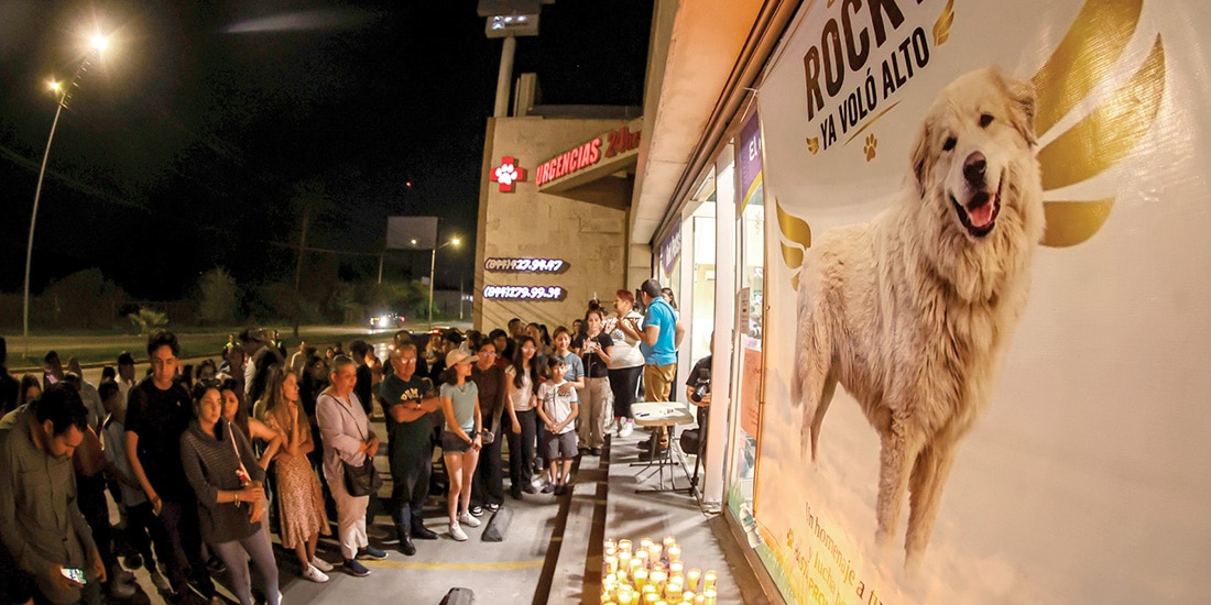 habitantes de Saltillo colocaron un altar en honor de un perro maltratado, en julio.