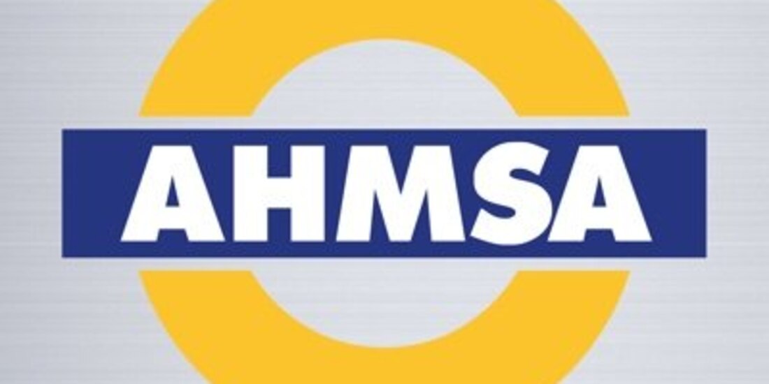 Altos Hornos de México (AHMSA).