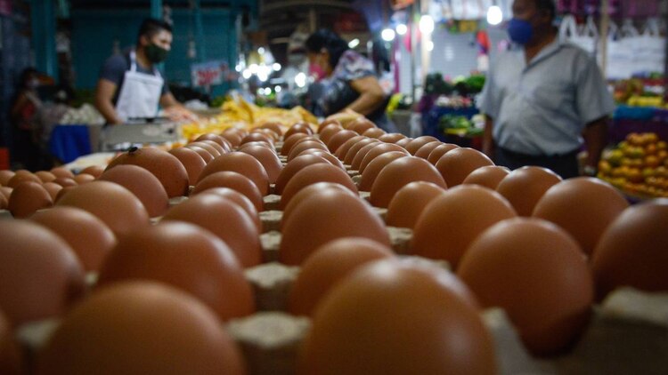 Ciudadanos denuncian que en algunos locales, el huevo cuesta hasta 60 pesos.