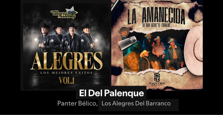 Corrido dedicado a "El Mencho"