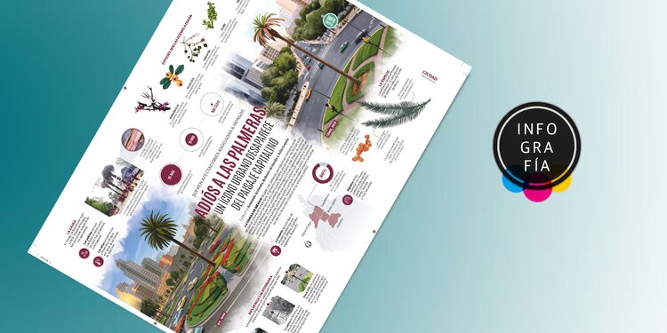 Adiós a las palmeras: Un ícono urbano desaparece del paisaje capitalino