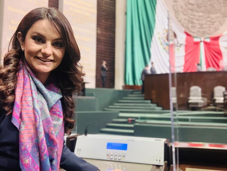 La diputada del PAN, Martha Estela Romo.