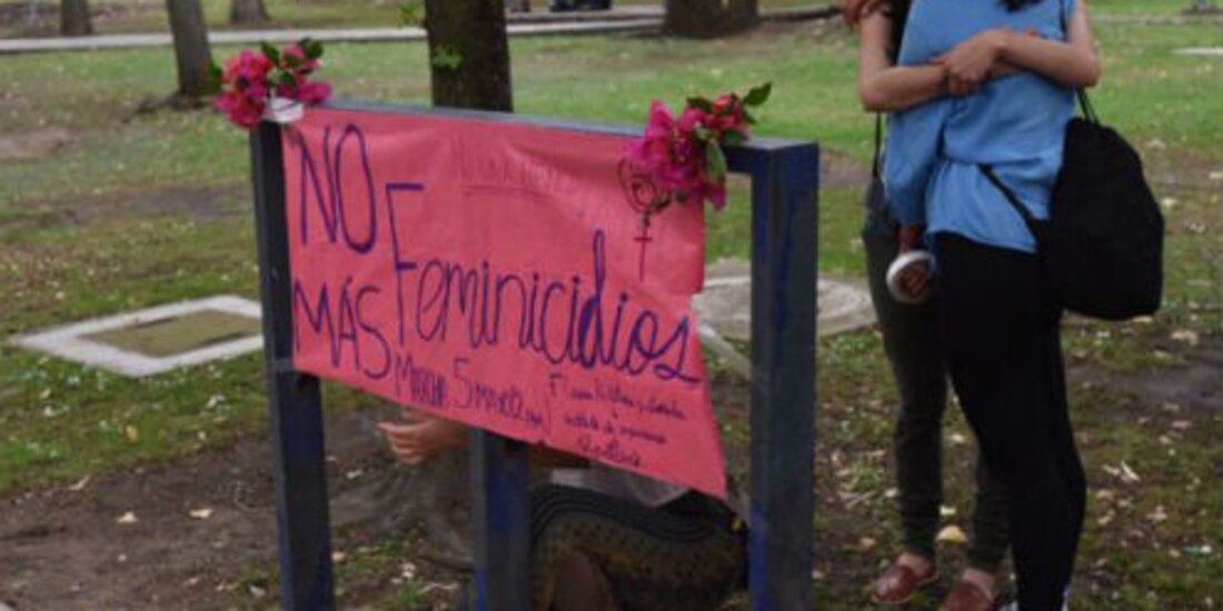 Comisión Nacional para Prevenir y Erradicar la Violencia contra las Mujeres