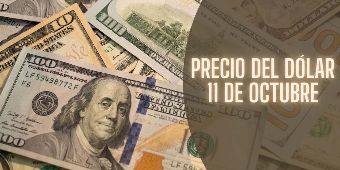 Este es el precio del dólar hoy viernes 11 de octubre de 2024.
