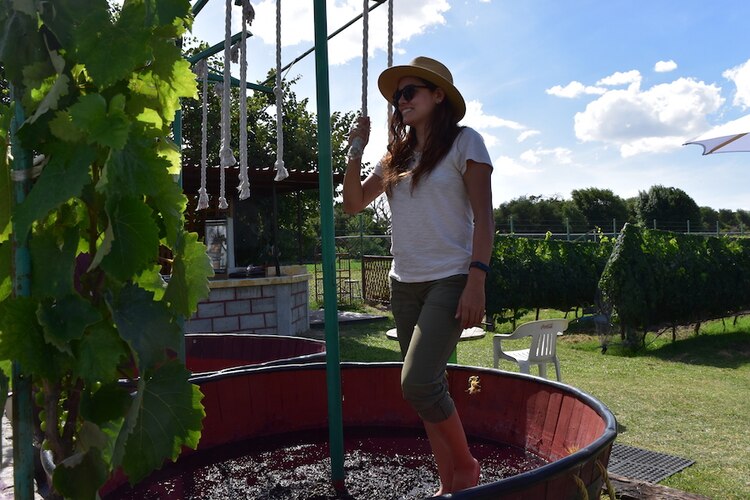 Podrás aprender todo sobre la elaboración del vino.