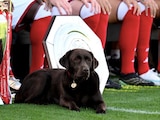 La perrita Win robó protagonismo en la fotografía oficial del Arsenal para la Temporada 2026-2027.