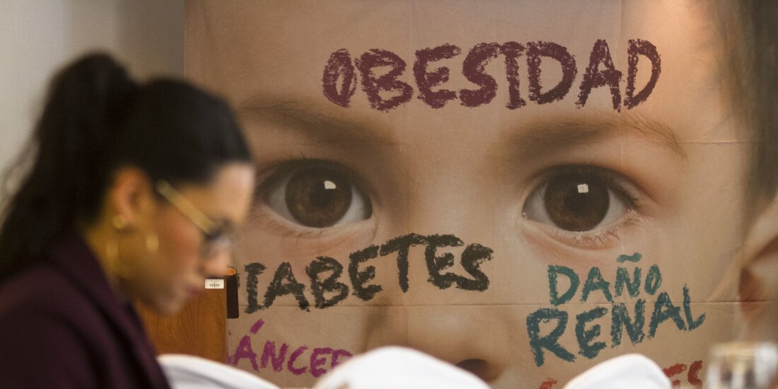 La iniciativa presentada por la legisladora de Morena, Magaly López Domínguez, busca limitar la publicidad de bebidas azucaradas y alimentos considerados “chatarra” para contrarrestar la obesidad infantil.