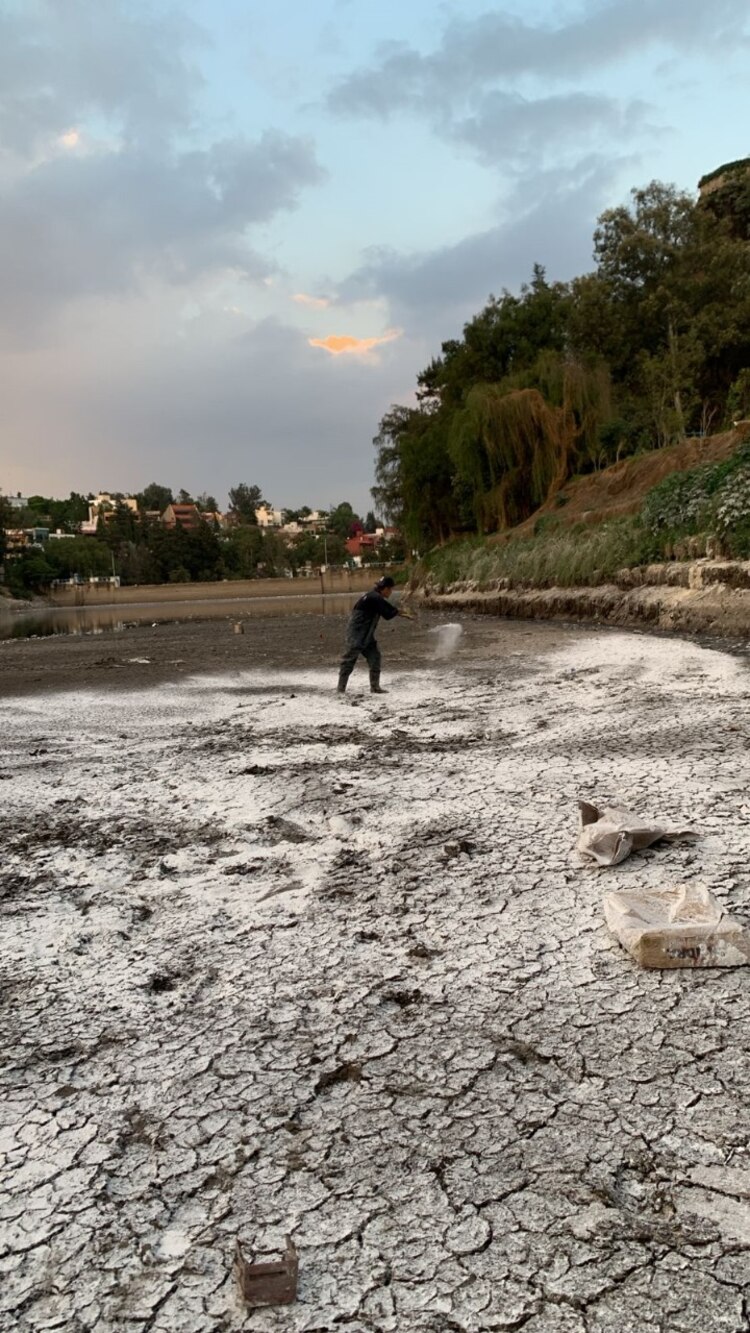 Personal de Aguas de Huixquilucan aplica cal viva en la presa El Capulín para reducir malos olores.