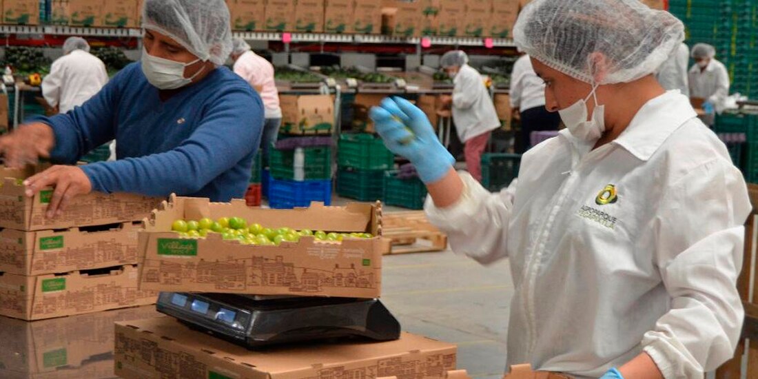 Para los principales grandes sectores del Indicador Global de la Actividad Económica, se tiene que para las actividades secundarias se calcula un incremento anual de 4.1% en agosto pasado.